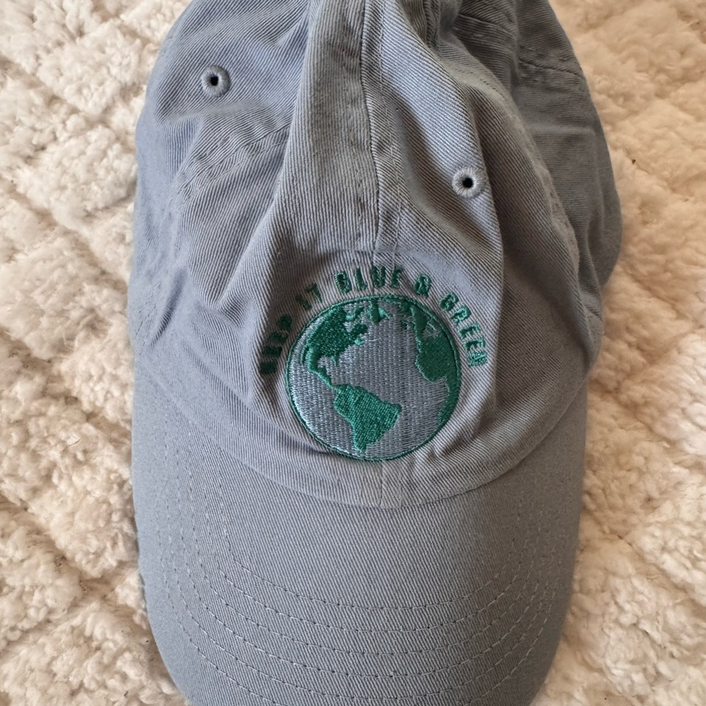Blue Gray Cap with Green Earth Embroidery